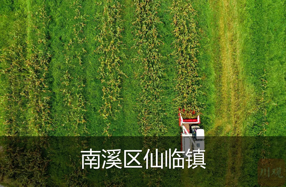 南溪区仙临镇